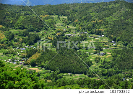 [Kochi Prefecture] Tosa/Honzan Sky Terraced Rice Fields (Yamanami Sea of Clouds Observatory) 103703832