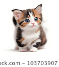 Kitten image generated by AI 103703907