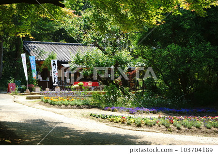 A peaceful teahouse nestled in the forest 103704189