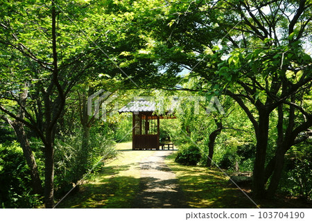Beyond the fresh green tunnel is a resting pavilion 103704190