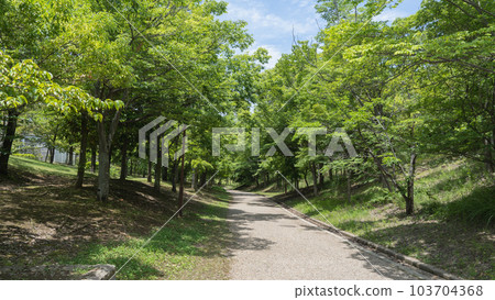 [千葉縣千葉市] Oyumino Shiki no Michi Spring Road 103704368