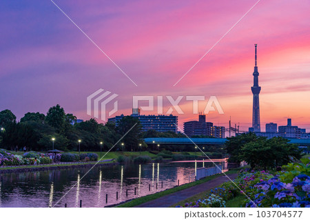[Tokyo] Tokyo Skytree and evening view from Kyu-Nakagawa Waterside Park 103704577