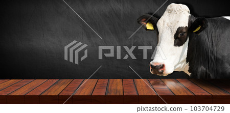 Empty Wooden Table and a Dairy Cow - Blank Blackboard on Background 103704729