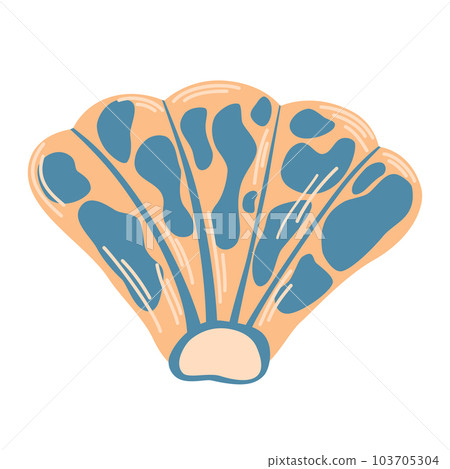 0408_seashell 0408_seashell 103705304