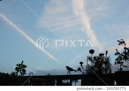 Sky and clouds 103705773