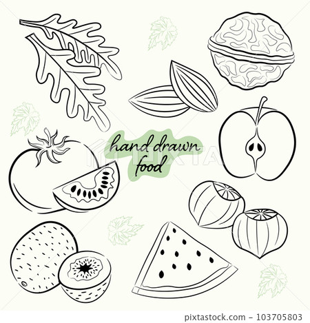 set with sketching images of nuts, vegetables and fruits set with sketching images of nuts, vegetables and fruits 103705803