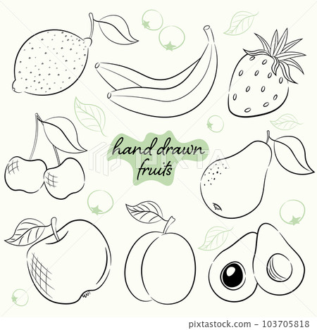 set of 8 sketching fruits in hand drawing style 103705818