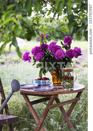 garden and tea party garden and tea party 103705997