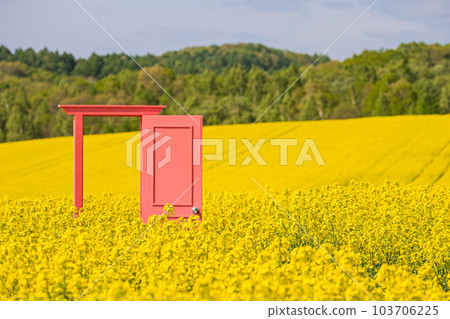 Rapeseed field in Abira-cho, Hokkaido Rapeseed field in Abira-cho, Hokkaido 103706225