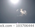 let's talk to the clouds let's talk to the clouds 103706444