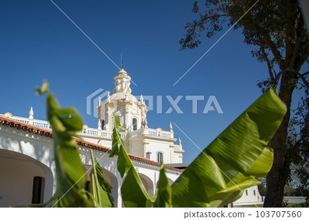 PORTUGAL ALENTEJO VIANA PORTUGAL ALENTEJO VIANA 103707560