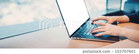 Woman sitting in cafe at the table and working on the laptop. Woman sitting in cafe at the table and working on the laptop. 103707601
