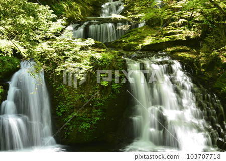 [Nabari City, Mie Prefecture] Akame 48 Waterfalls/Hadan Falls 103707718