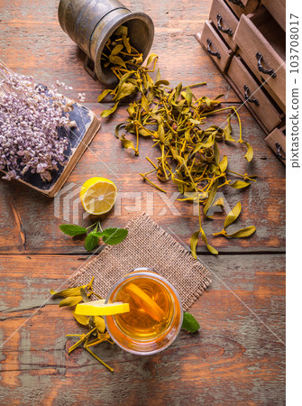 Cup of herbal tea 103708017