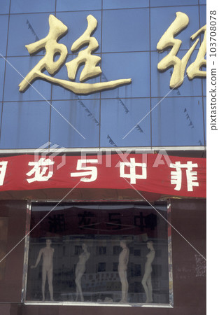 CHINA WUHAN MARKET ECONOMY CHINA WUHAN MARKET ECONOMY 103708078