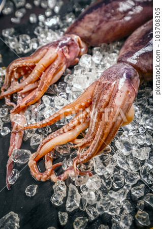 Fresh cuttlefish Fresh cuttlefish 103708305