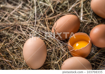 Fresh brown eggs 103708335