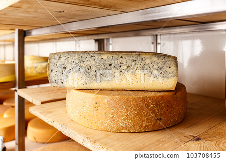 Half cheese wheel Half cheese wheel 103708455