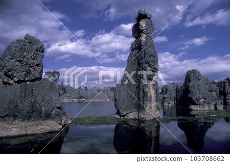 CHINA YUNNAN KUNMING SHILIN STONE FOREST CHINA YUNNAN KUNMING SHILIN STONE FOREST 103708662