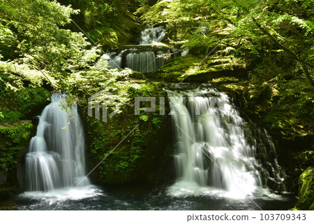 [Nabari City, Mie Prefecture] Akame 48 Waterfalls/Hadan Falls 103709343