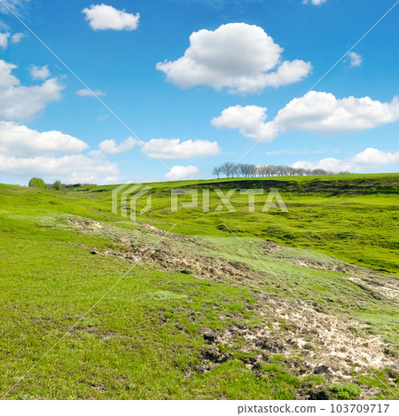 Large ravine on agricultural land. 103709717