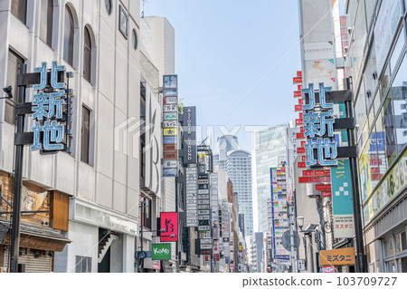 大阪府大阪市北新地,關西首屈一指的鬧市區,餐廳林立 大阪府大阪市北新地,關西首屈一指的鬧市區,餐廳林立 103709727