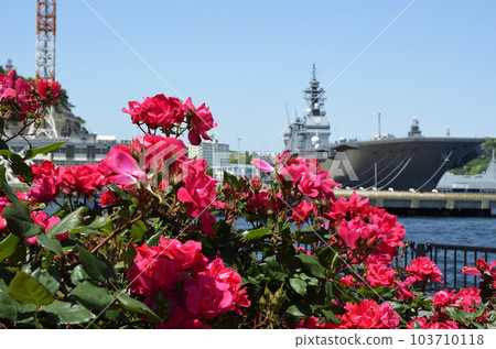 玫瑰花和船橫須賀港 103710118