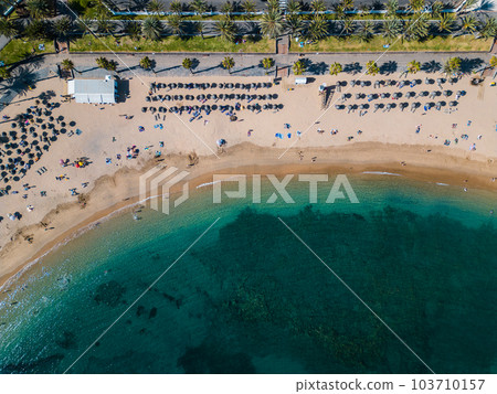 exotic beach with palms and clean blue water, tourists on vacation, Tenerife exotic beach with palms and clean blue water, tourists on vacation, Tenerife 103710157