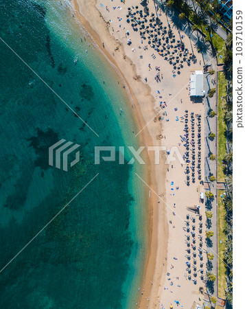 exotic beach with palms and clean blue water, tourists on vacation, Tenerife exotic beach with palms and clean blue water, tourists on vacation, Tenerife 103710159