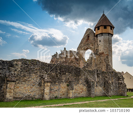 Ruins of medieval Cistercian abbey Ruins of medieval Cistercian abbey 103710190