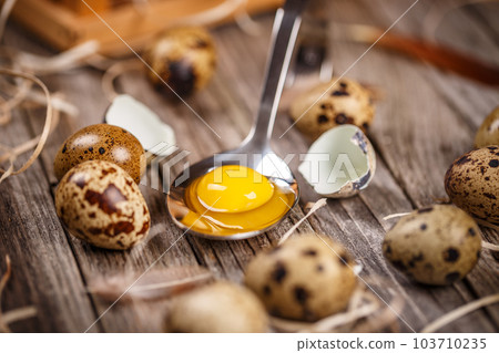 Fresh quail egg 103710235