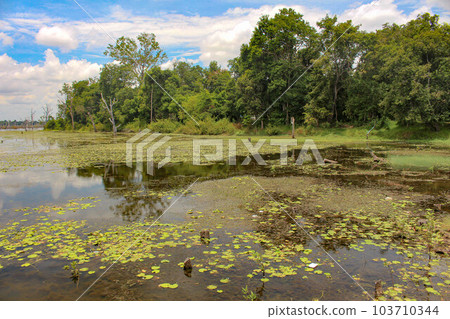[Siem Reap] Tonle Sap Lake 103710344