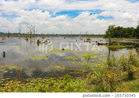 [Siem Reap] Tonle Sap Lake 103710345