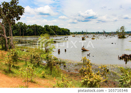 [Siem Reap] Tonle Sap Lake 103710346