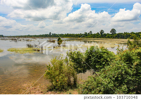 [Siem Reap] Tonle Sap Lake 103710348