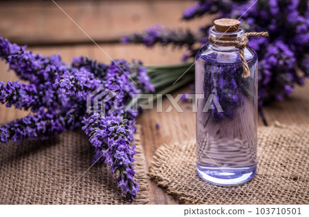 Lavender oil 103710501