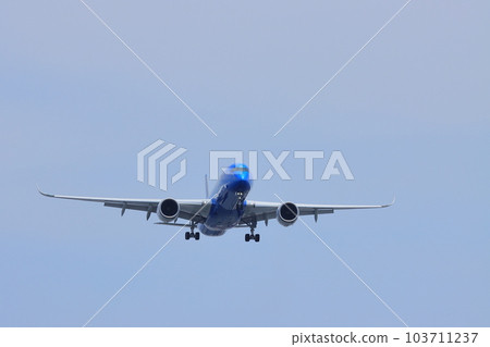著陸客機國際航班意大利噴氣式飛機 著陸客機國際航班意大利噴氣式飛機 103711237