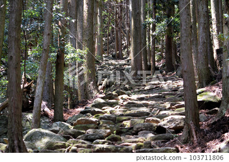 Image of Kumano Kodo Image of Kumano Kodo 103711806