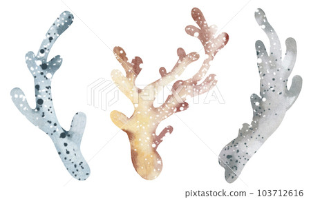Watercolor illustration of underwater sea corals. Marine underwater plants. Illustration isolated on a white background. Postcard, sticker, sublimation. Watercolor illustration of underwater sea corals. Marine underwater plants. Illustration isolated on a white background. Postcard, sticker, sublimation. 103712616