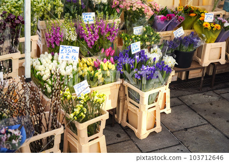 Various flowers on display at street flower stall in London market, Bouquets displayed inside plastic boxes Various flowers on display at street flower stall in London market, Bouquets displayed inside plastic boxes 103712646
