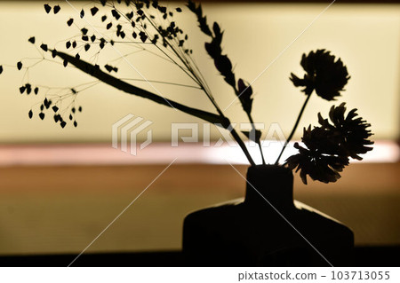 花道形象 103713055