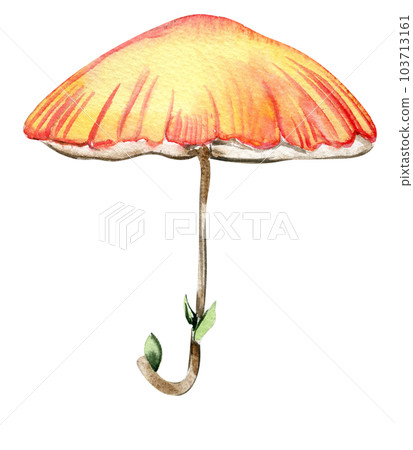Flower umbrella for fairy. Hand painted fairy tale illustration for greeting cards, prints, post cards and souvenirs. Illustartion isilated on white background. Flower umbrella for fairy. Hand painted fairy tale illustration for greeting cards, prints, post cards and souvenirs. Illustartion isilated on white background. 103713161