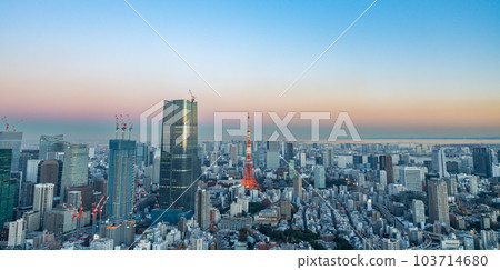 【東京暮光之城】以東京鐵塔為視角的東京夜景 103714680
