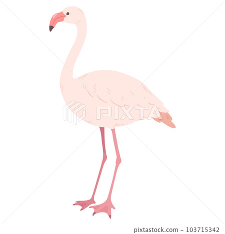 簡單可愛火烈鳥手繪插畫無主線 103715342