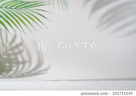 Shadow of tropical leaves Shadow of tropical leaves 103715545