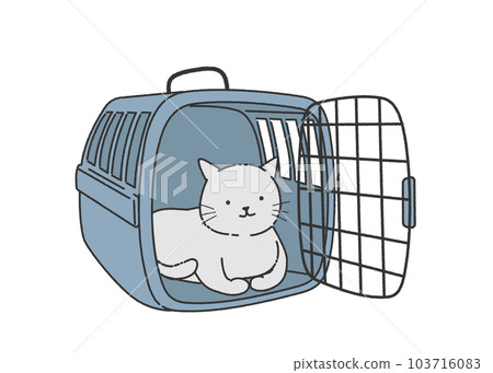 cat in carry case 103716083
