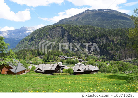 Cityscape of "Les Houches" in the Chamonix Valley 103716283