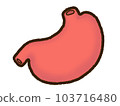 Stomach 103716480