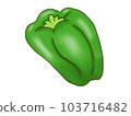 green pepper  103716482