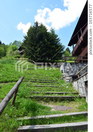 Les Houches Tour du Mont Blanc 路線 Les Houches Tour du Mont Blanc 路線 103716577